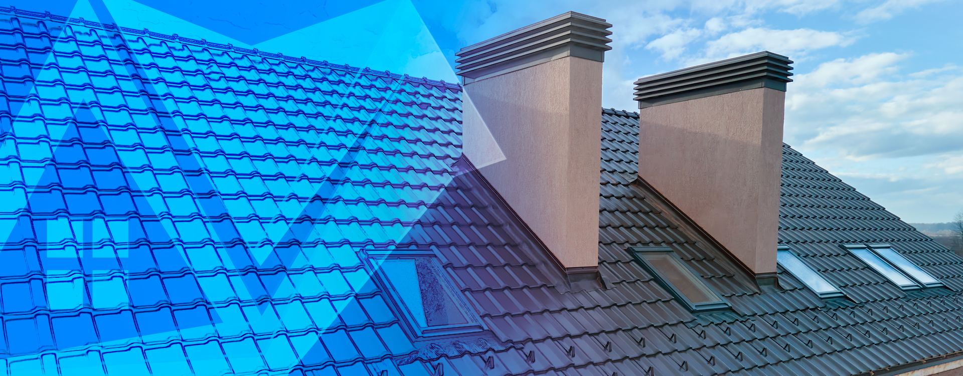 Professional Roofing Services